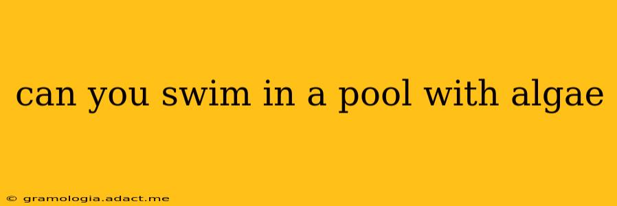 can you swim in a pool with algae