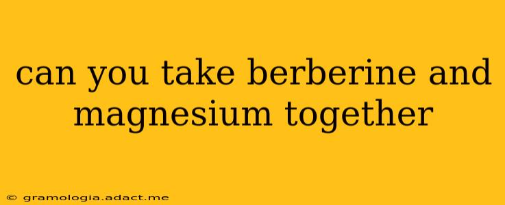 can you take berberine and magnesium together