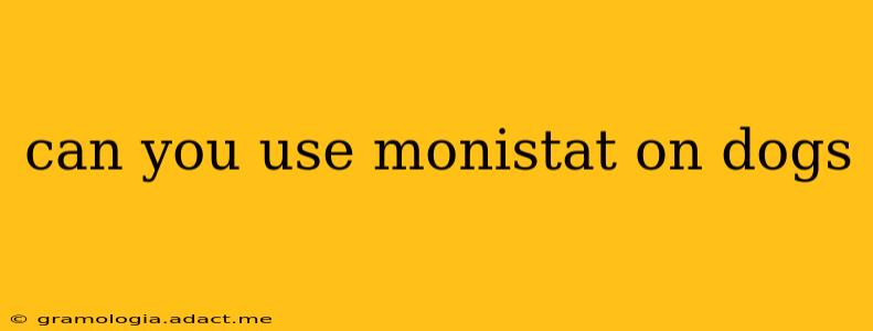 can you use monistat on dogs