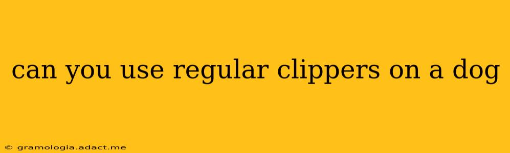 can you use regular clippers on a dog