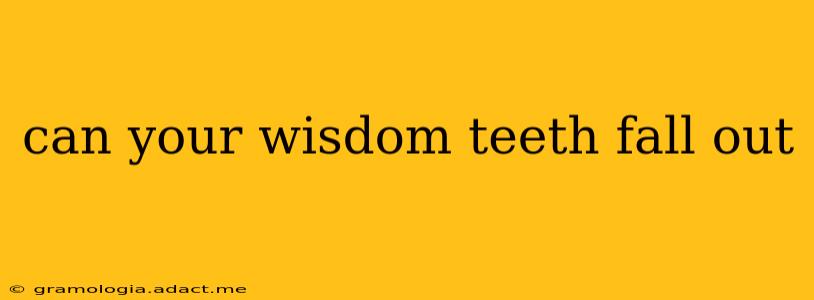 can your wisdom teeth fall out