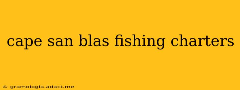 cape san blas fishing charters