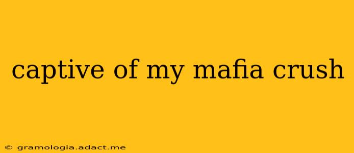captive of my mafia crush