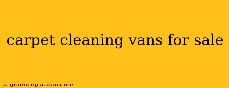 carpet cleaning vans for sale