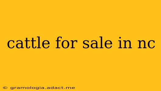 cattle for sale in nc