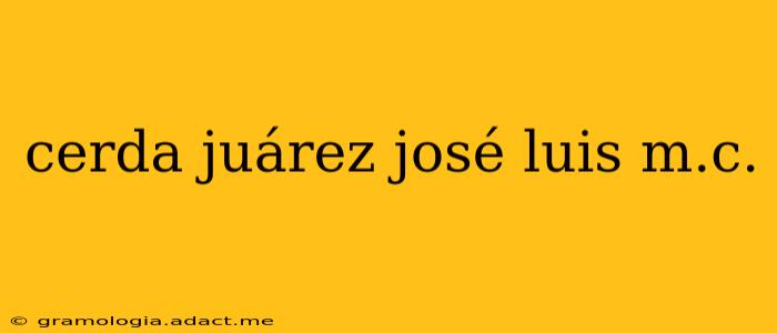 cerda juárez josé luis m.c.