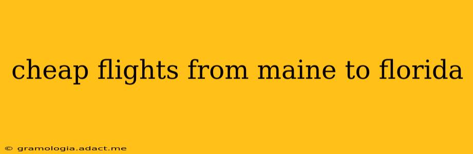 cheap flights from maine to florida