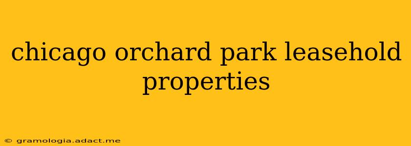 chicago orchard park leasehold properties