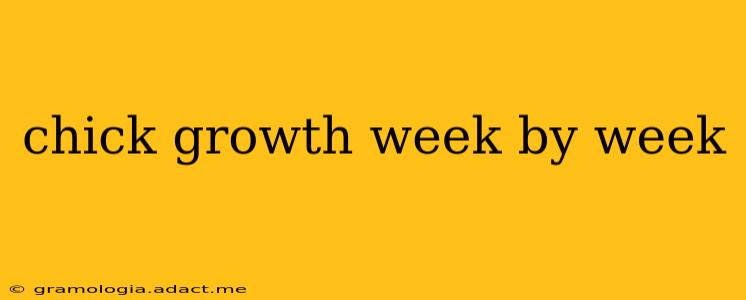 chick growth week by week