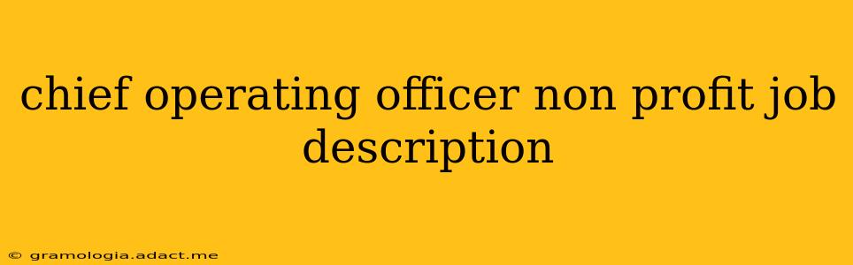 chief operating officer non profit job description