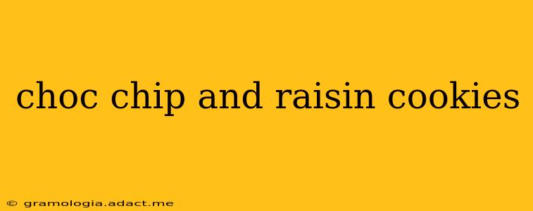 choc chip and raisin cookies