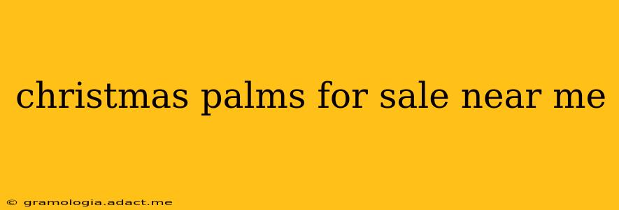 christmas palms for sale near me