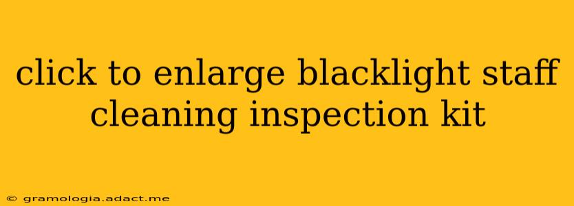 click to enlarge blacklight staff cleaning inspection kit