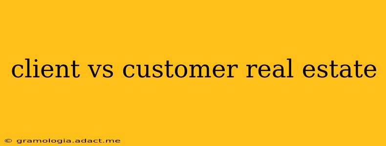 client vs customer real estate