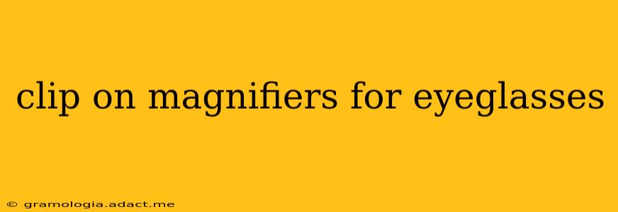 clip on magnifiers for eyeglasses