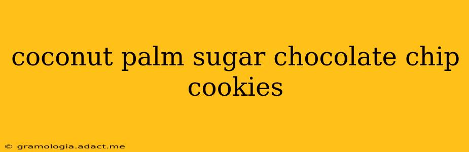 coconut palm sugar chocolate chip cookies