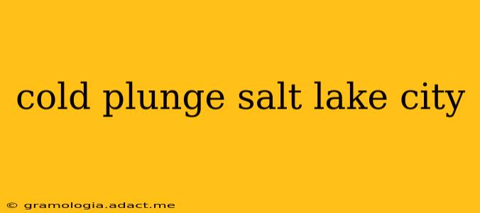 cold plunge salt lake city