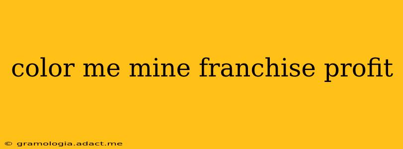 color me mine franchise profit
