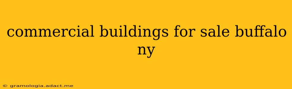 commercial buildings for sale buffalo ny
