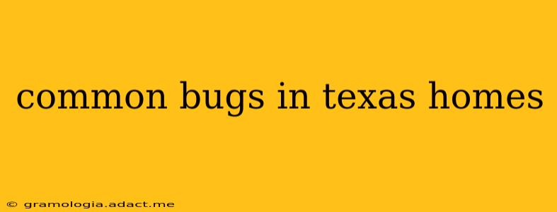 common bugs in texas homes