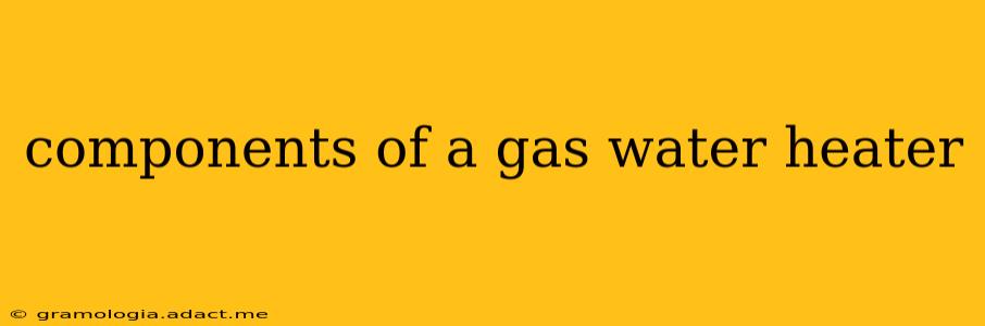 components of a gas water heater