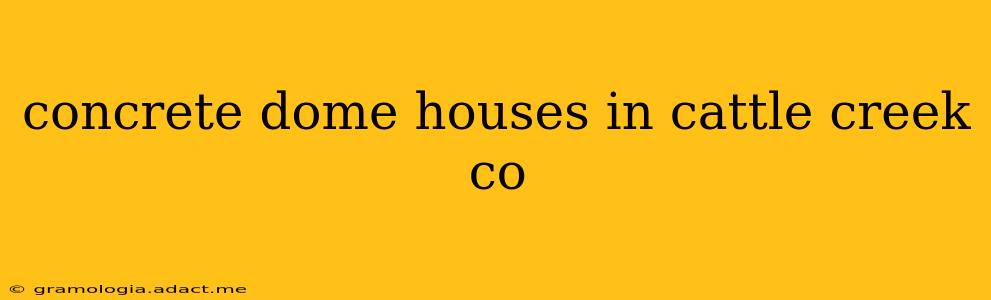 concrete dome houses in cattle creek co