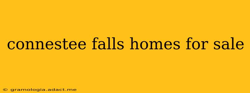 connestee falls homes for sale