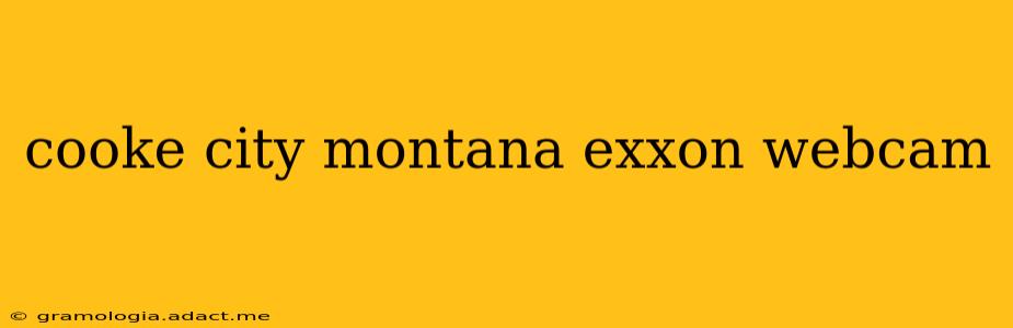 cooke city montana exxon webcam