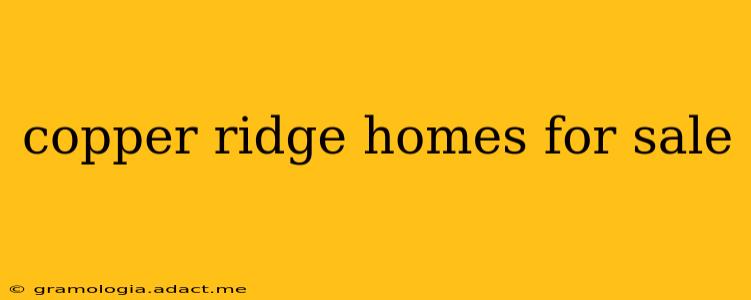 copper ridge homes for sale