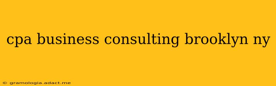 cpa business consulting brooklyn ny