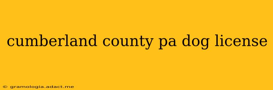 cumberland county pa dog license