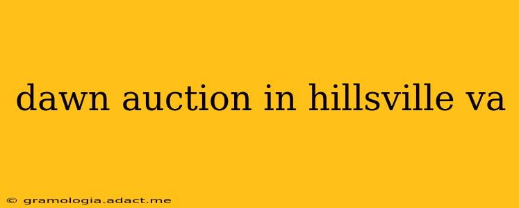 dawn auction in hillsville va