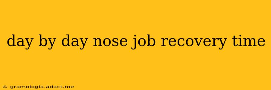 day by day nose job recovery time