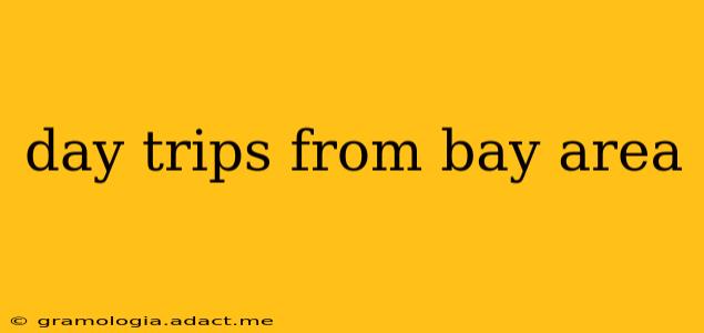 day trips from bay area