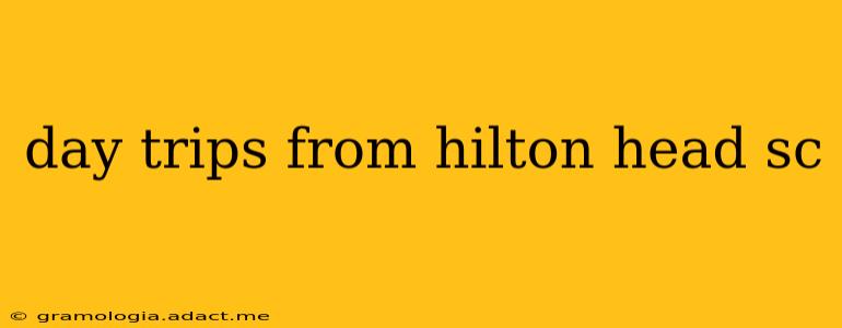 day trips from hilton head sc
