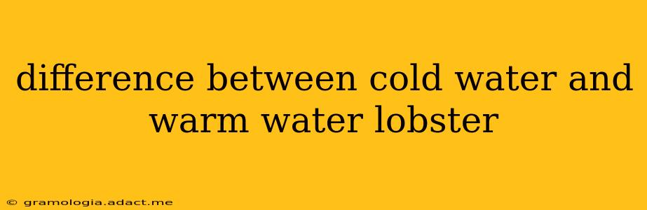 difference between cold water and warm water lobster