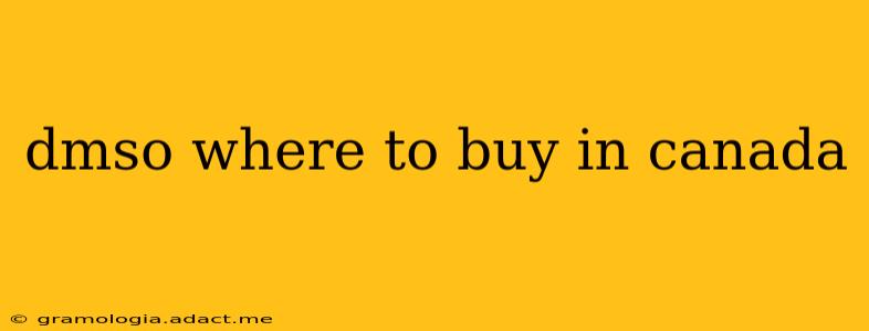 dmso where to buy in canada