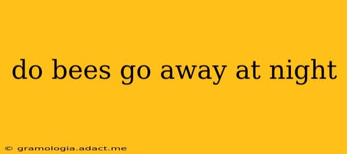 do bees go away at night