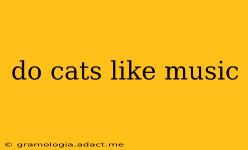 do cats like music