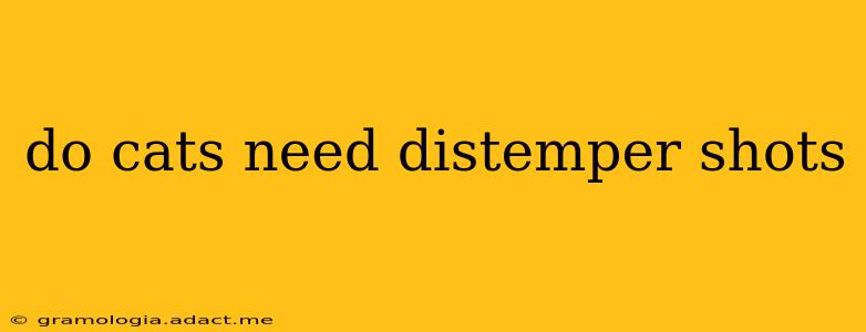 do cats need distemper shots