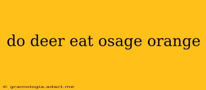 do deer eat osage orange