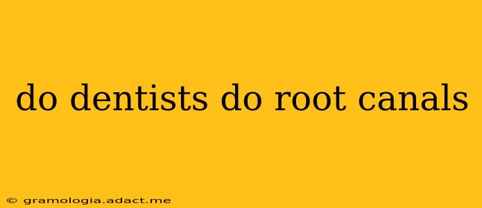 do dentists do root canals