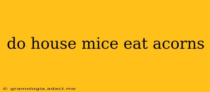 do house mice eat acorns