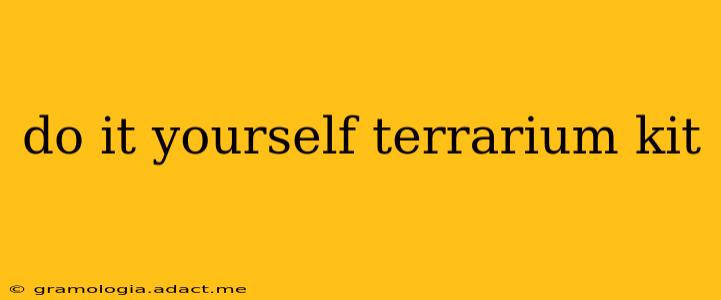 do it yourself terrarium kit