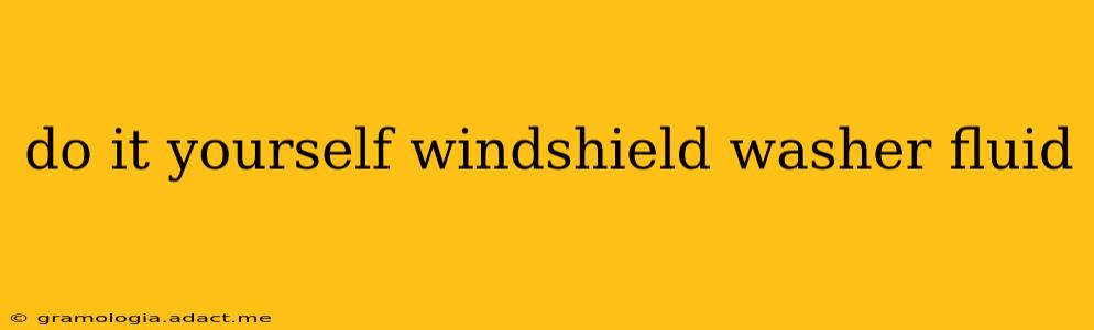 do it yourself windshield washer fluid