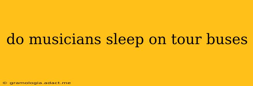 do musicians sleep on tour buses