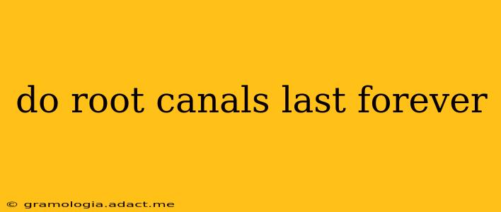 do root canals last forever