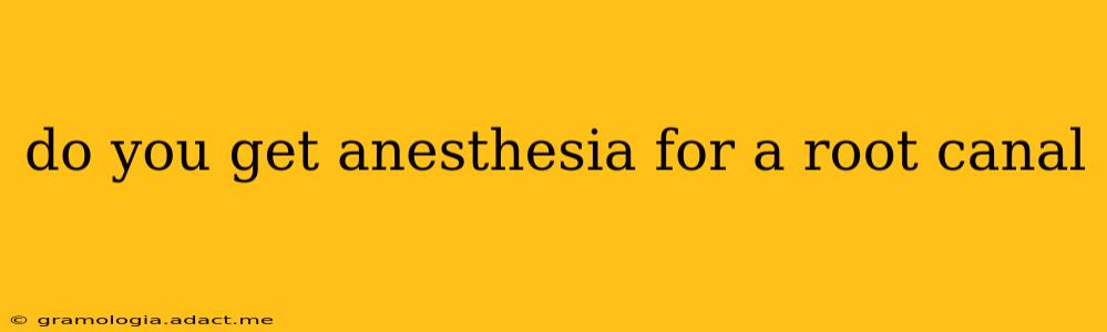 do you get anesthesia for a root canal
