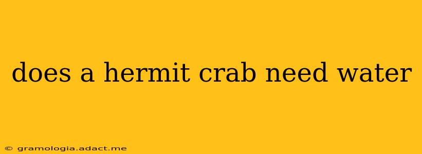 does a hermit crab need water