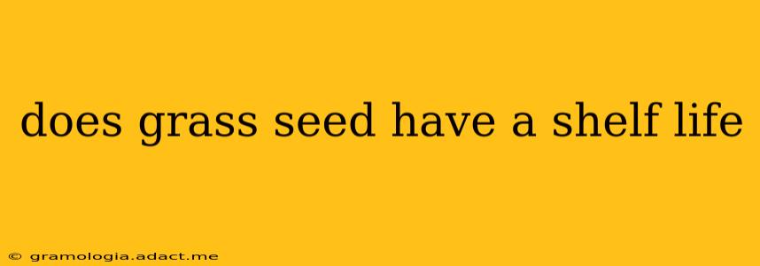 does grass seed have a shelf life